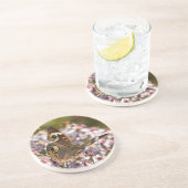 Häufig Buckeye auf Pink Aster Getränkeuntersetzer (Seite)