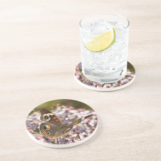 Häufig Buckeye auf Pink Aster Getränkeuntersetzer (Seite)