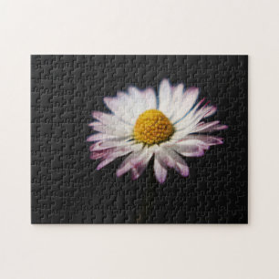 Häufig Daisy 11x14 252pc jpcn Puzzle