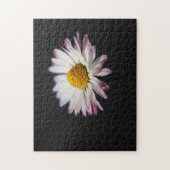 Häufig Daisy 11x14 252pc jpcna Puzzle (Vertikal)