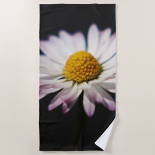 Häufig Daisy btcnm Strandtuch