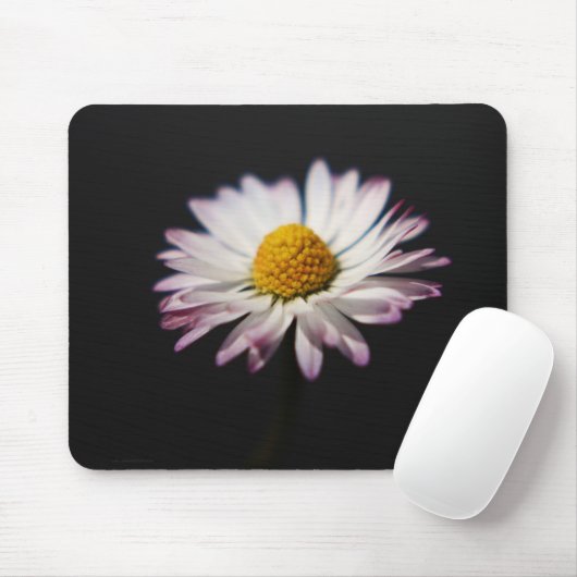 Häufig Daisy mpcnm Mousepad (Mit Mouse)