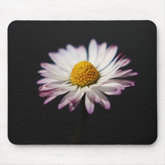 Häufig Daisy mpcnm Mousepad (Vorne)