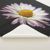 Häufig Daisy sbcnm Sherpadecke (3/4)