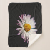 Häufig Daisy sbcnm Sherpadecke (Vorderseite)