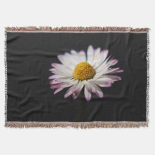 Häufig Daisy tbcn Decke