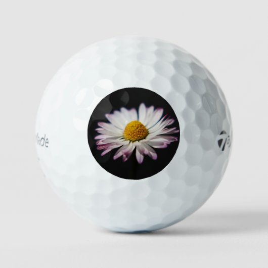 Häufig Daisy tmtp5 gbcnm Golfball (Vorderseite)