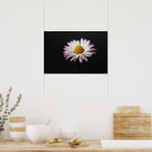 Häufig Daisy wapcna Poster (Küche)