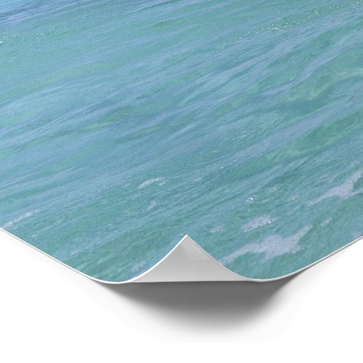 Häufig Dolphin Dolphin Poster (Ecke)