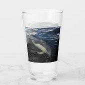 Häufig Dolphin Schwimmen Glas (Rückseite)