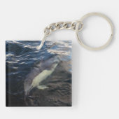 Häufig Dolphin Schwimmen Schlüsselanhänger (Rückseite)