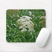 Häufig Elderberry (Sambucus canadensis) Mousepad (Mit Mouse)