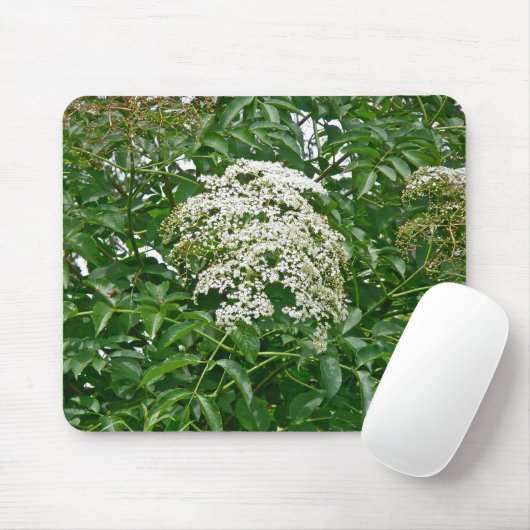Häufig Elderberry (Sambucus canadensis) Mousepad (Mit Mouse)