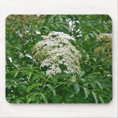 Häufig Elderberry (Sambucus canadensis) Mousepad (Vorne)