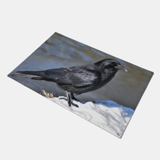 Häufig Fußmatte (Schrägansicht)