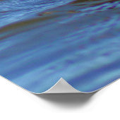 Häufig Loon Poster (Ecke)