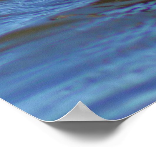 Häufig Loon Poster (Ecke)