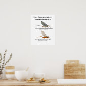 Häufig Maisfliegenarten - Poster der Ostküste (Küche)