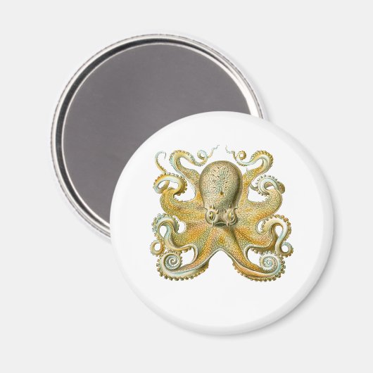 Häufig Oktopus Magnet (Vorderseite/Rückseite)