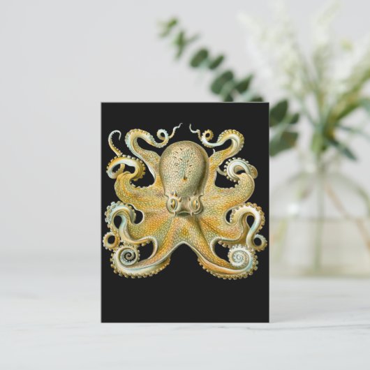 Häufig Oktopus Postkarte (Stehend Vorderseite)