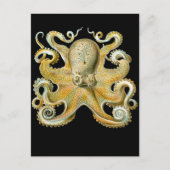 Häufig Oktopus Postkarte (Vorderseite)