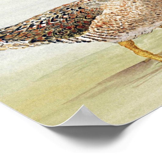 Häufig Poster (Ecke)