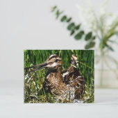 Häufig Postkarte (Stehend Vorderseite)