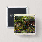 Häufig (Weißschwanz) Hirsche - Audubon-Quadrupeds Button (Vorne & Hinten)