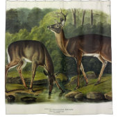 Häufig (Weißschwanz) Hirsche - Audubon-Quadrupeds Duschvorhang (Vorderseite)