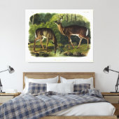 Häufig (Weißschwanz) Hirsche - Audubon-Quadrupeds Leinwanddruck (Insitu (Schlafzimmer))