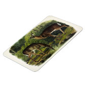Häufig (Weißschwanz) Hirsche - Audubon-Quadrupeds Magnet (Linke Seite)