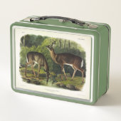 Häufig (Weißschwanz) Hirsche - Audubon-Quadrupeds Metall Brotdose (Rückseite)