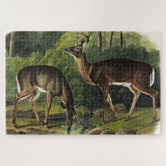 Häufig (Weißschwanz) Hirsche - Audubon-Quadrupeds Puzzle (Horizontal)