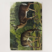 Häufig (Weißschwanz) Hirsche - Audubon-Quadrupeds Puzzle (Vertikal)