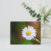 Häufige Blume Postkarte (Stehend Vorderseite)