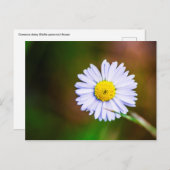 Häufige Blume Postkarte (Vorne/Hinten)