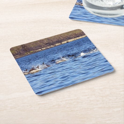 Häufige Delphine treiben Untersetzer (angewinkelt)