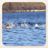 Häufige Delphine treiben Untersetzer (Vorderseite)