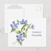 Häufige Postkarte (Vorne/Hinten)