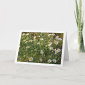 Häufige Tierarzneimittel im Gras Karte (Vorderseite)