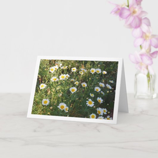 Häufige Tierarzneimittel im Gras Karte (Orchidee)