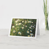 Häufige Tierarzneimittel im Gras Karte (Vorderseite)