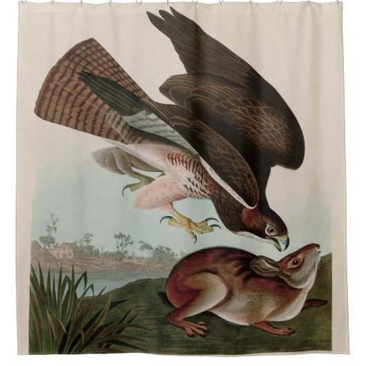 Häufige Vogelarten von Amerika Audubon Print Duschvorhang (Vorderseite)