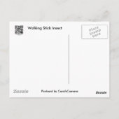 Häufige Walkingstifte (Diapheromera femorata) Postkarte (Rückseite)