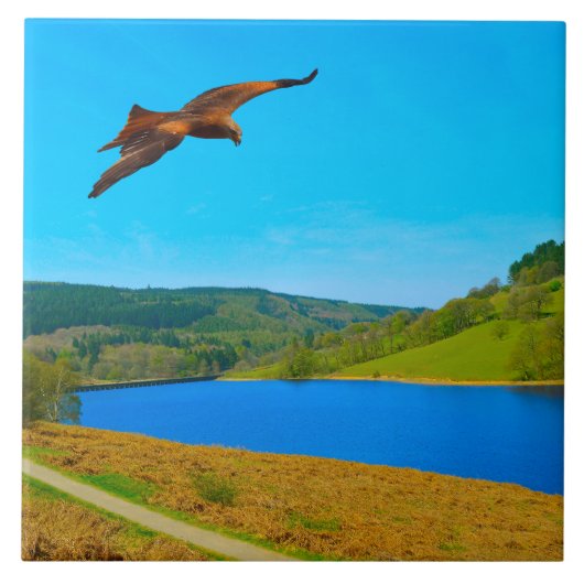 Häufiger Buzzard über das Ladybower-Reservoir Fliese (Vorderseite)
