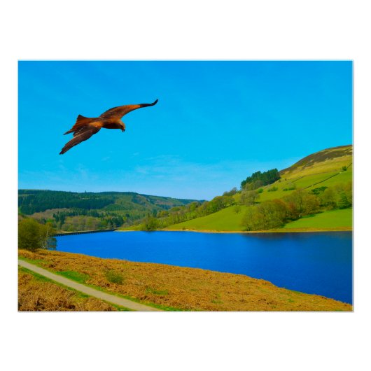 Häufiger Buzzard über das Ladybower-Reservoir Poster (Vorderseite)