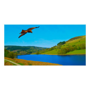 Häufiger Buzzard über das Ladybower-Reservoir Poster