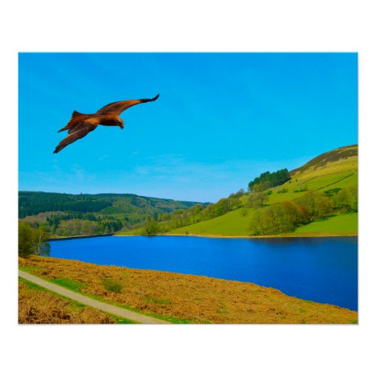 Häufiger Buzzard über das Ladybower-Reservoir Poster (Vorderseite)