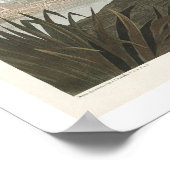 Häufiger Buzzard von Audubon Poster (Ecke)