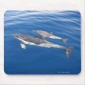 Häufiger Delphin in der Straße Mousepad (Vorne)